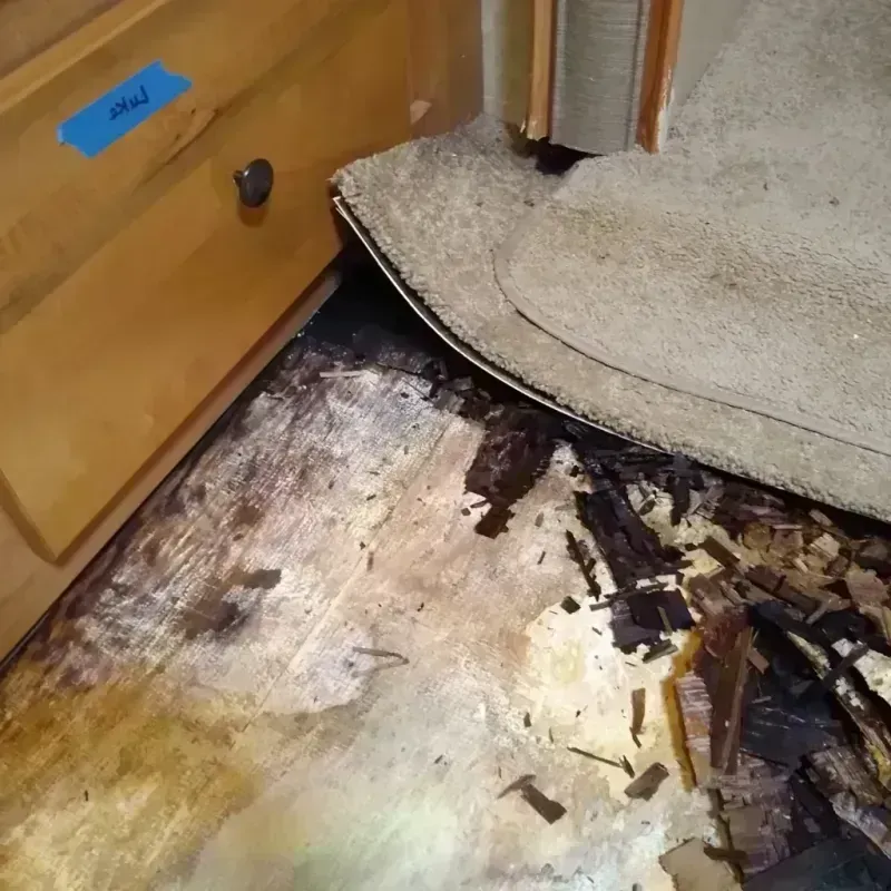 Wood Floor Water Damage in Woodlawn, OH